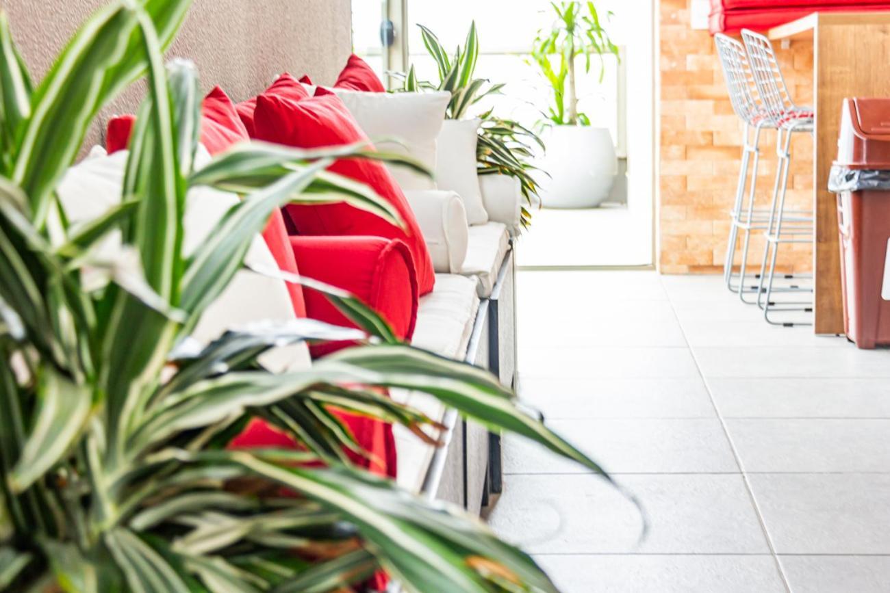 Estudio Moderno No Campeche, 7 Min Da Praia Sul14 Florianopolis Ngoại thất bức ảnh